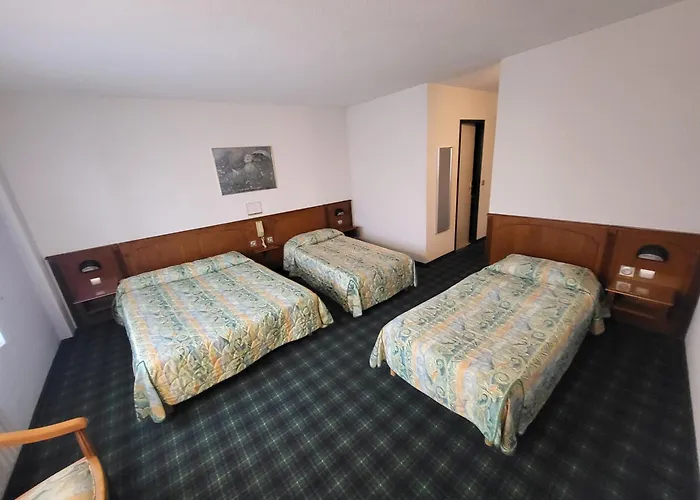 ホテル Christ Roi ルルド